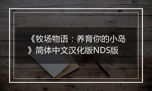 《牧场物语：养育你的小岛》简体中文汉化版NDS版
