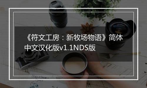 《符文工房：新牧场物语》简体中文汉化版v1.1NDS版