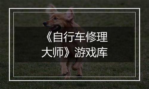 《自行车修理大师》游戏库