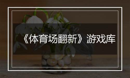 《体育场翻新》游戏库