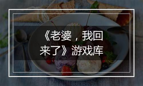《老婆，我回来了》游戏库