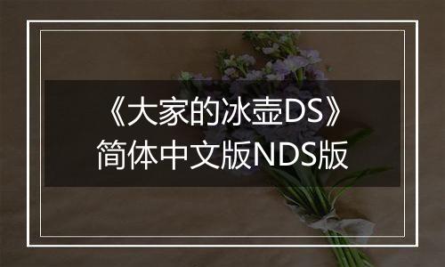 《大家的冰壶DS》简体中文版NDS版