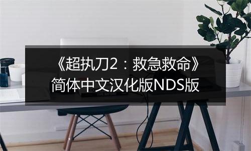 《超执刀2：救急救命》简体中文汉化版NDS版