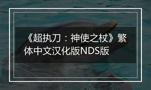 《超执刀：神使之杖》繁体中文汉化版NDS版