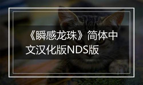 《瞬感龙珠》简体中文汉化版NDS版