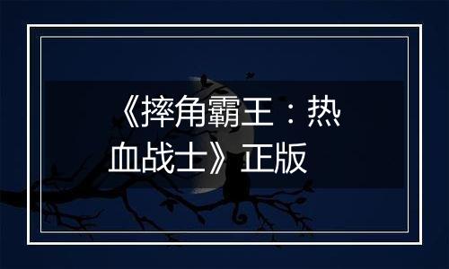 《摔角霸王：热血战士》正版
