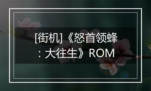 [街机]《怒首领蜂：大往生》ROM