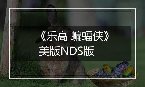《乐高 蝙蝠侠》 美版NDS版