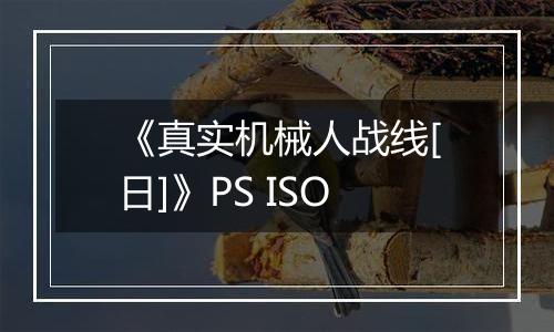 《真实机械人战线[日]》PS ISO