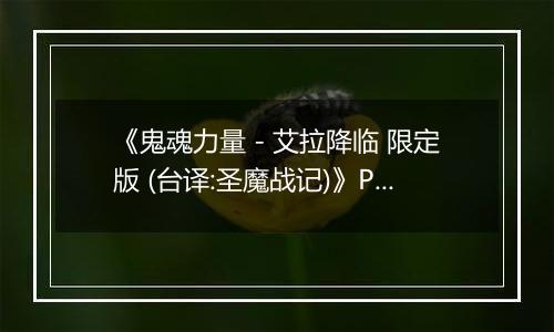 《鬼魂力量 - 艾拉降临 限定版 (台译:圣魔战记)》PS ISO