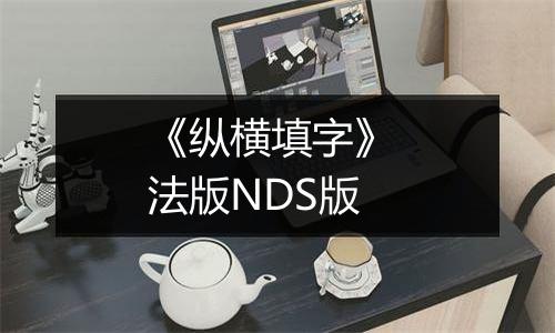 《纵横填字》 法版NDS版