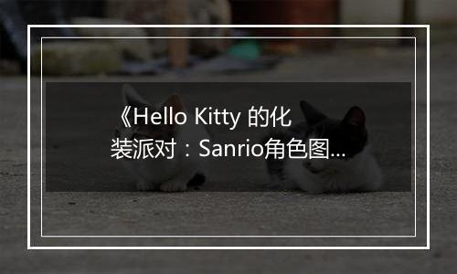 《Hello Kitty 的化装派对：Sanrio角色图鉴DS》 日版NDS版