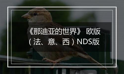《那迪亚的世界》 欧版（法、意、西）NDS版