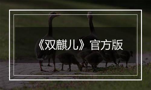 《双麒儿》官方版
