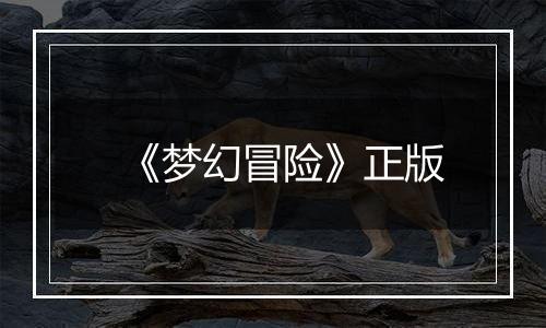《梦幻冒险》正版