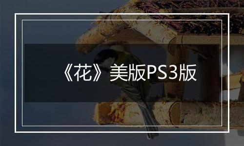 《花》美版PS3版