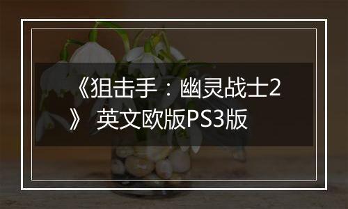 《狙击手：幽灵战士2》 英文欧版PS3版