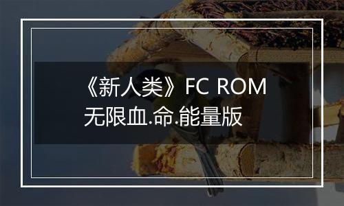 《新人类》FC ROM 无限血.命.能量版